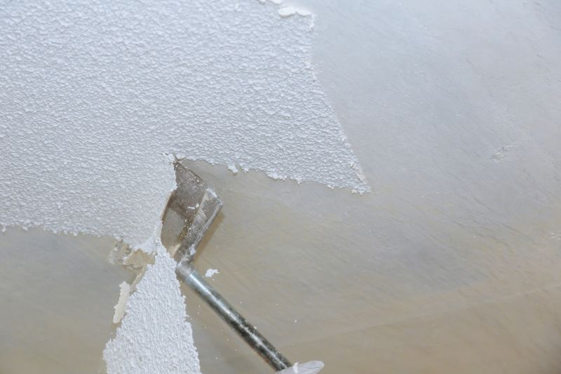 Ceiling Texture Removal